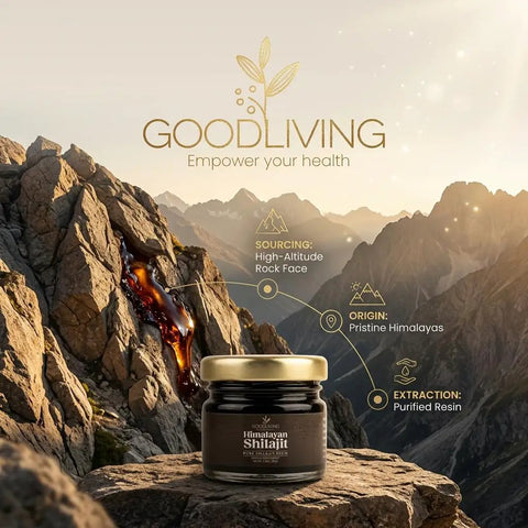 Pure Himalayan Shilajit Resin 30 Gram Jar on rocky terrain with information on sourcing and origin.