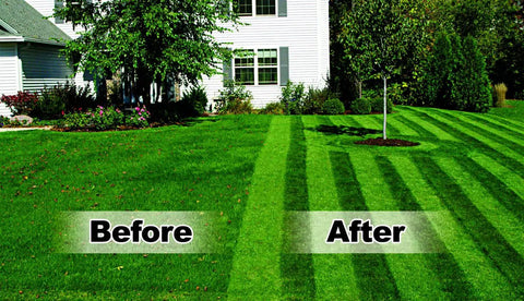 Comparison of lawn before and after using Generation 3 Lawn Striping System Pro Kit For Ballpark Style Lawn Lines Only Works With Honda 20 to 22 Inch