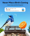 Smart Bird Feeder With Camera For Outdoors Solar Powered Bird House 2K HD Live Video AI Species ID Real Time Alerts 2.4G WiFi Brown with bird eating.
