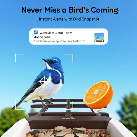 Smart Bird Feeder With Camera For Outdoors Solar Powered Bird House 2K HD Live Video AI Species ID Real Time Alerts 2.4G WiFi Brown with bird eating.