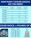 Infographic comparing Cooler Shock ice packs and ice bags with cooler sizes and usage times