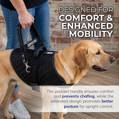 Heavy Duty Leather Bridge Handle For Service Dogs Featuring Solid Steel Core Reflective Trim Ergonomic Dual Ring Harness Compatible 16 Inch Badass Pup Parent Guide Tool