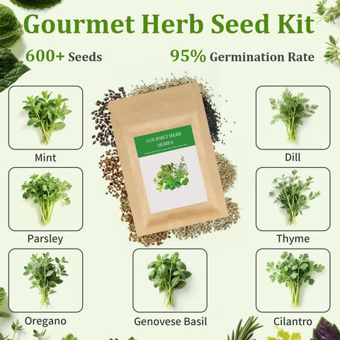 Indoor Herb Garden Starter Kit Beginner Friendly With 7 Herbs Like Basil Parsley Thyme Mint Cilantro Dill Oregano Includes 10 White Pots Markers Soil Discs Sprayer Plant Pen Nutritional Soil Great Gift For Women shown with seed packets.