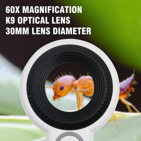 60X Handheld Magnifier With UV And LED Lights Pro Grade Loupe For Gemstones Jewelry Watches And PCB Inspection 30mm Optical Lens showing a magnified ant.