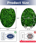 Elongated green moss old concrete wall green moss nature dark Toilet Seat dimensions with measurement guide on display.
