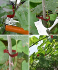 Plant Tying Machine For Grapes Raspberries Tomatoes And Vining Vegetables With 20 Tape Rolls in use, securing plant vines.