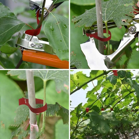 Plant Tying Machine For Grapes Raspberries Tomatoes And Vining Vegetables With 20 Tape Rolls in use, securing plant vines.