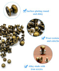 Top Shelf Bronze Button Stud Screws Kit Packs 36 Heavy Duty Rivets In Four Exact Sizes For Tough Leather Work And Badass Diy Builds Giving You A Slick Rust Proof Zinc Finish; close-up of bronze studs with shiny surface and iron screws.