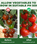 Comparison of tomatoes in suboptimal vs optimized soil pH using Soil PH Test Kit With Upgraded 125 Strips And Measuring Cylinders