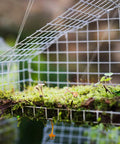 Quarter Inch Hardware Cloth 48 By 100 Feet Galvanized Welded Wire Fencing Roll Square Mesh with moss and mushrooms