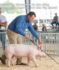 Man using Two Pack Black Pig Show Whip With Chrome Tip 36 Inch Leather Handle Riding Crop For Training And Showing at ring