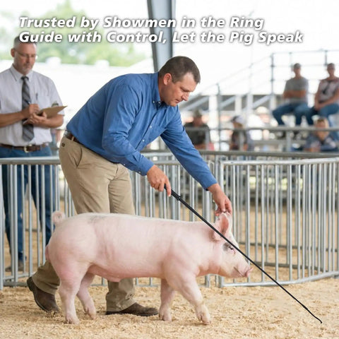 Man using Two Pack Black Pig Show Whip With Chrome Tip 36 Inch Leather Handle Riding Crop For Training And Showing at ring