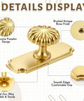 10 Pack Vintage Cabinet Knobs With Backplates In Brushed Brass featuring pumpkin design and smooth edges on display