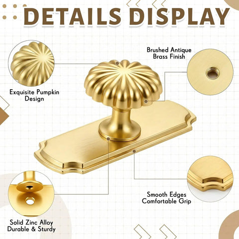 10 Pack Vintage Cabinet Knobs With Backplates In Brushed Brass featuring pumpkin design and smooth edges on display
