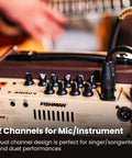 Close-up of controls on Loudbox Micro 40 Watt Acoustic Guitar Combo Amplifier Bundle With Gearlux XLR Cable and instrument input.