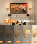 Battery Operated Wall Sconce Set Of Two With Gold Rattan Shade And Rechargeable RGB Bulbs For Wireless Bedroom Lighting display showing brightness levels.