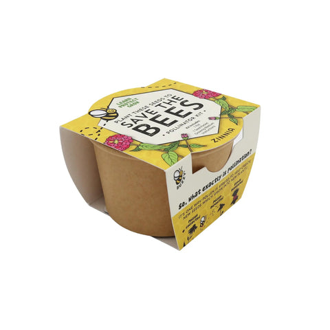 Wildflower Garden Kit That Attracts Bees And Butterflies With 12 Biodegradable Pots Coconut Coir Growing Medium Pollinator Seed Packets in packaging