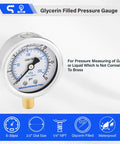 Low Pressure Glycerin Filled Pressure Gauge 0 To 30 Psi KPa 304 Stainless Steel Case One Quarter Inch NPT Lower Mount Lead Free