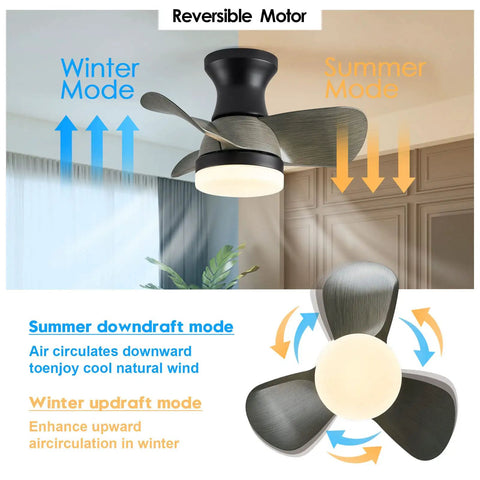 Diagram of 20 Inch Mini Ceiling Fan With Light Remote Quiet Flush Mount 3 Reversible Blades showing summer and winter modes.