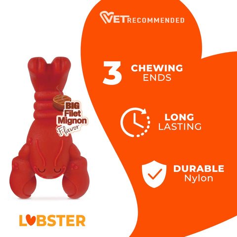 Lobster Shaped Power Chew Dog Toy For Pups And Small Dogs With Triple Chew Ends And Easy Grip Arch Durable For Aggressive Chewers Great For Chewing Teething And Mental Stimulation. Red nylon lobster chew toy with 3 ends