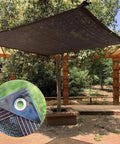 Shade Cloth 70 Percent, 20x20 Ft Heavy Duty Durable Mesh Tarp With Grommets, Taped Edge installed over pergola in garden.