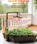 Full Spectrum LED Grow Light Seed Starter Kit with 80 Cell Tray, 30W Heating Mat, Adjustable Dome in indoor setup