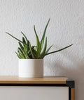 Black Plastic Corner Protectors For Furniture And Cabinets Heavy Duty Edge Guards on wooden cabinet with white plant pot