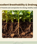 Root structure in soil demonstrating breathability and drainage for 10 Pack Coco Coir Bricks Organic Coconut Coir Growing Substrate.