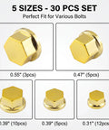 Hella Solid Gold Motorcycle Bolt Covers And Hexagon Engine Nut Caps With Wear Resistant Metal Screw Protectors For Universal Atv Scooter Fresh Ride Upgrade in five sizes.