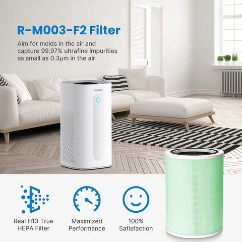 Living room with RM003-F2 air purifier and Replacement Filter For RM003 Air Purifier With 4 Stage Filtration Upgraded HEPA Filter