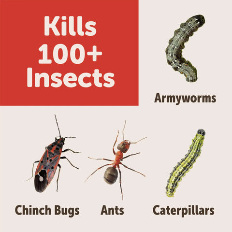 Garden Perimeter Insect Granules 3lb For Fast Acting Protection Against 100 Plus Pests showing insects for extermination