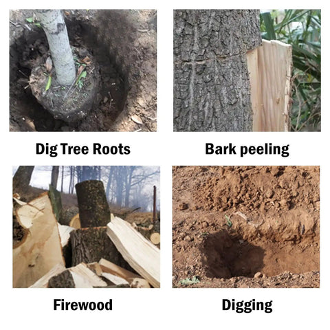 Heavy Duty Root Cutting Tool For Digging Through Tree Roots And Stumps Bamboo Root Cutter and Rock Remover Garden Tamping Bar Tree Popper in action