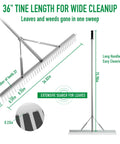 Diagram of 36 inch aluminum garden rake with 76 inch long handle and 37 tines, wide head rake for lawns and landscaping