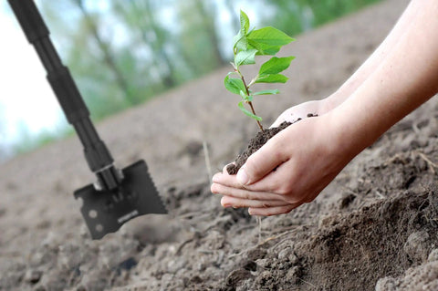 Hands planting a sapling in soil with Ultralight Folding Camping Shovel Multitool for Outdoor Adventure nearby in use.