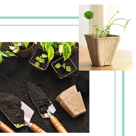 3.25 Inch Seed Starter Pots Set Of 30 Eco Friendly Biodegradable Peat Pots for indoor seedling germination with garden tools