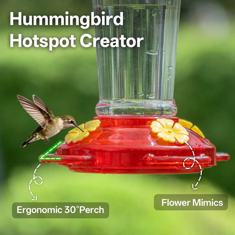 Close-up of 2 Pack 14 Ounce Plastic Hummingbird Feeders With Ant Moat And Bee Guard For Outdoors, showing feeding port and perch