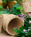 50 Pack 4 Inch Biodegradable Seed Starter Pots with Drainage Holes for Indoor and Outdoor Gardening; loose pots and one held over flowers