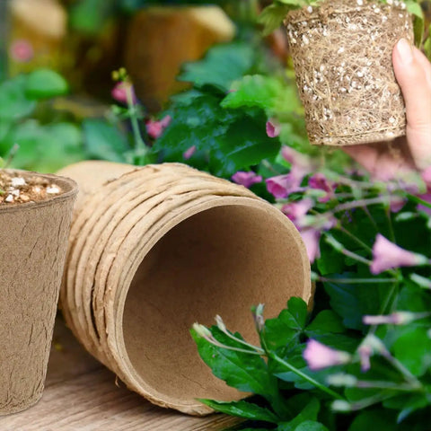 50 Pack 4 Inch Biodegradable Seed Starter Pots with Drainage Holes for Indoor and Outdoor Gardening; loose pots and one held over flowers