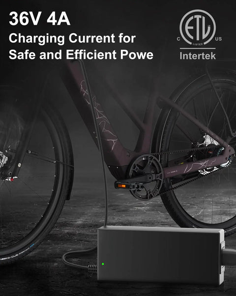 4A Standard eBike Charger For Bosch eBike System 2 BES2 With Oval Plug Replacement Power Supply For Active And Performance Line PowerPack And PowerTube Batteries Model BCS220 Not For BES3