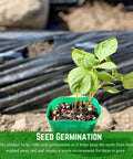 Heavy Duty 4 Mil Black Plastic Sheeting Weed Barrier For Outdoor Gardens, with young plant growing on nonwoven fabric