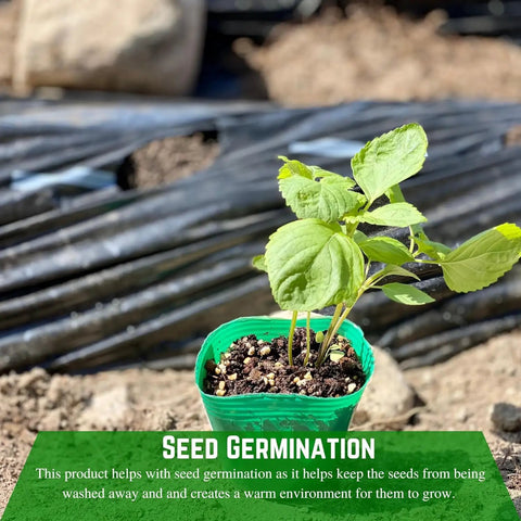 Heavy Duty 4 Mil Black Plastic Sheeting Weed Barrier For Outdoor Gardens, with young plant growing on nonwoven fabric