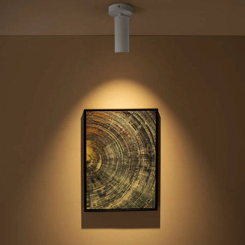 LED Modern Directional Dimmable Spotlight With 90 Degree Adjustable Beam shining on artwork in warm white