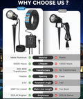 Comparison of All In One Low Voltage Landscape Lights Kit and other brand with features and differences highlighted.