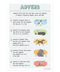 English Grammar Adverb Poster from Eight Poster Parts Of Speech Set For Classrooms, 12x18 Inches, Made in USA
