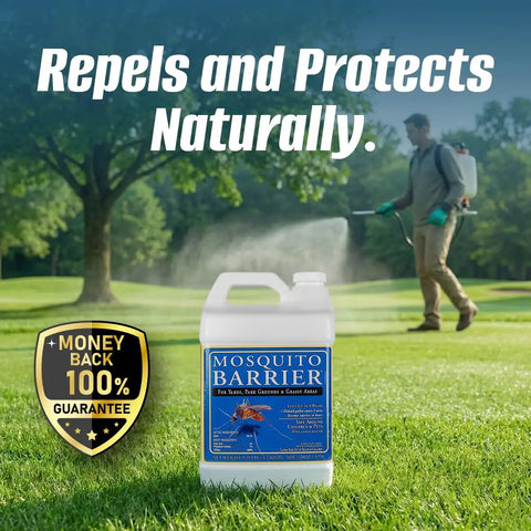 Man spraying lawn with Garlic Mosquito Repellent Concentrate For Lawns And Yards Easy Water Mix Outdoor Treatment container in foreground.