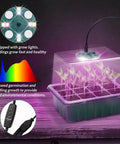 Two Pack Seed Starter Tray Propagation Station With Full Spectrum Grow Light and seedlings in humidity dome on purple base.
