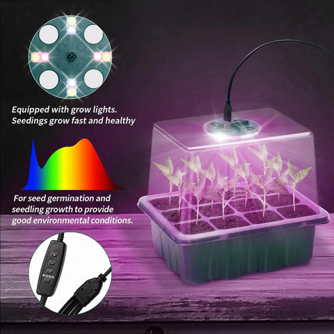 Two Pack Seed Starter Tray Propagation Station With Full Spectrum Grow Light and seedlings in humidity dome on purple base.