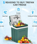 Tailgate Ready Portable Thermoelectric Car Cooler And Warmer 26 5 Quart Dual Temp Fridge For Truck RV Camper Party with fruits and drinks.