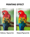 Comparison of ordinary and original pigment ink printing effects on a parrot image, showcasing color vibrancy differences.