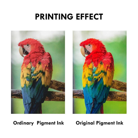 Comparison of ordinary and original pigment ink printing effects on a parrot image, showcasing color vibrancy differences.